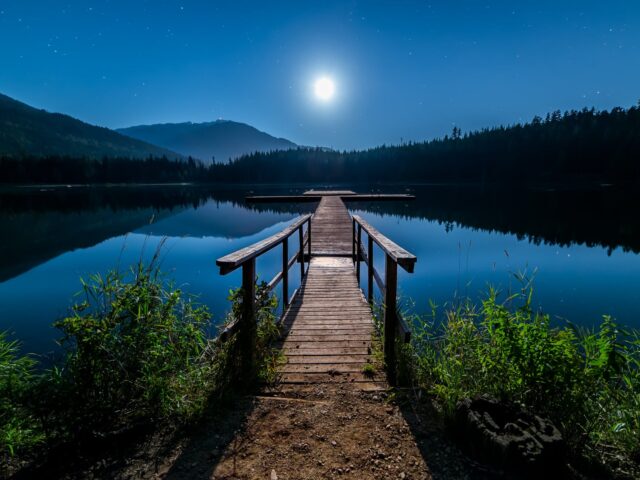 brown wooden dock