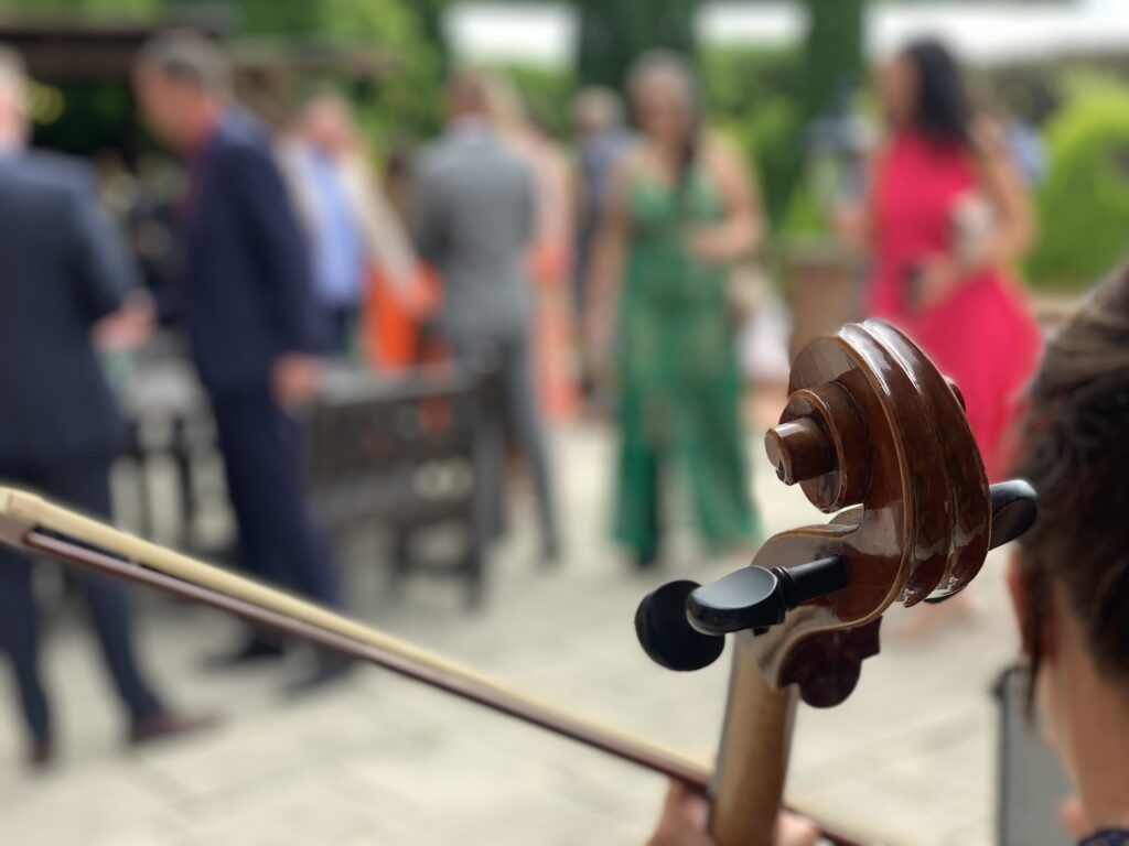 Cellist for wedding drinks Reception