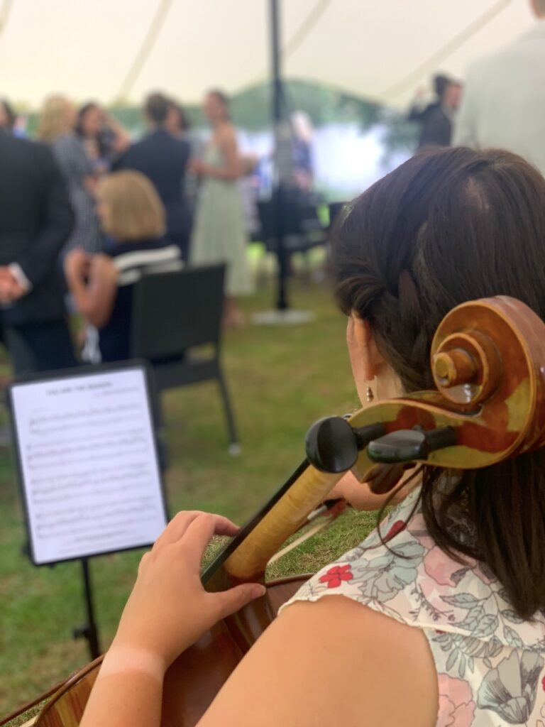 Wedding Cellist