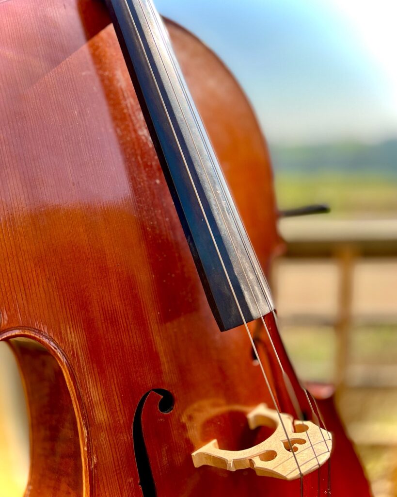 Cello