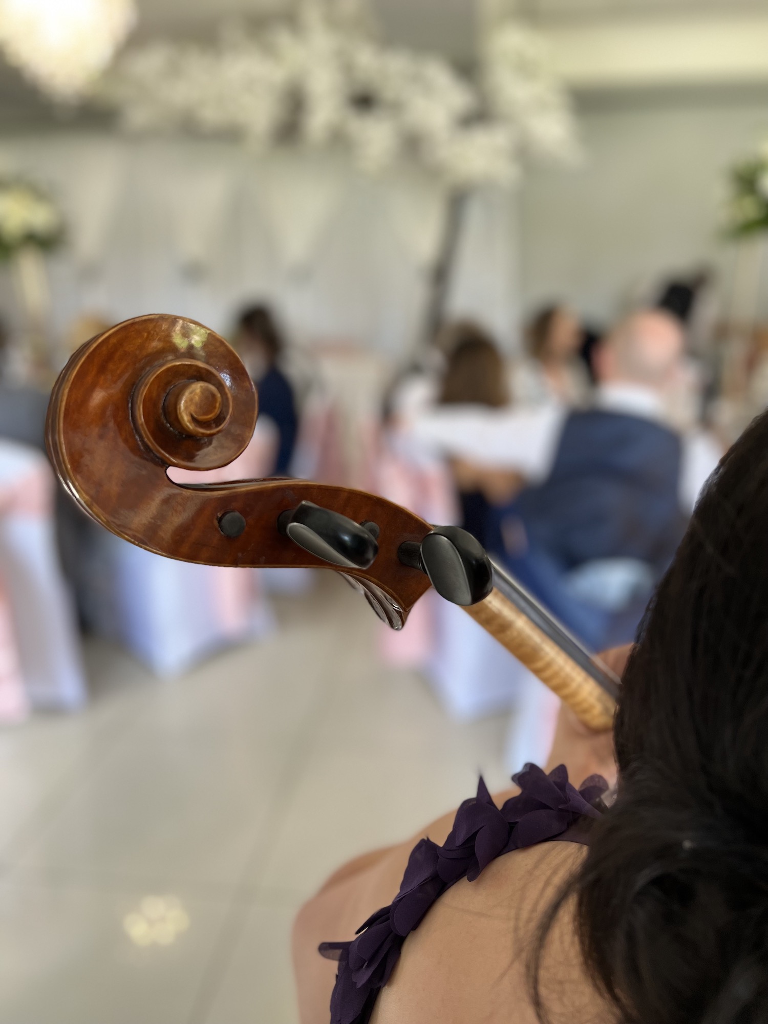 Wedding Cellist