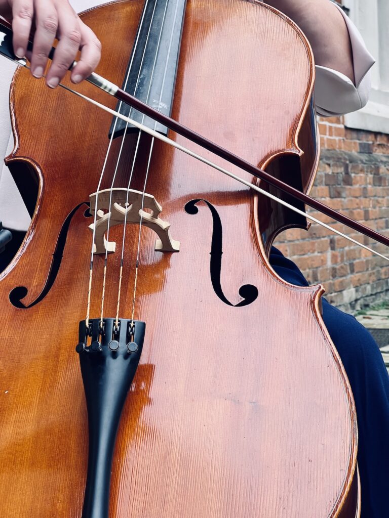 Wedding Cellist