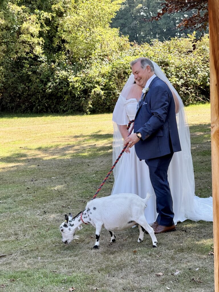 Bride and Groom with Goat at Audleys Wood Hotel in Basingstoke.