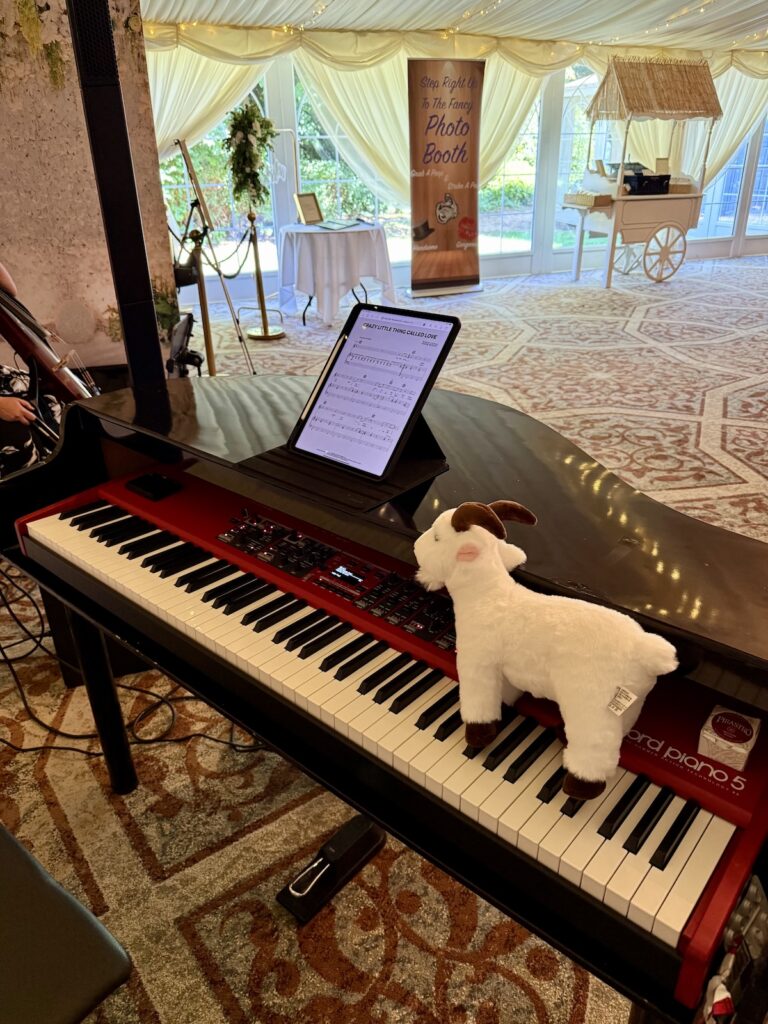 Goat themed wedding at Audleys Wood Hotel in Basingstoke.
