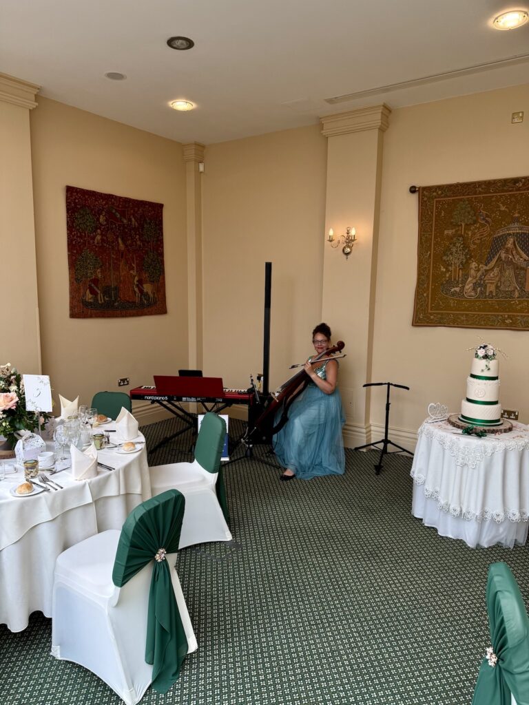 Wedding Celist at The Lawn, Rochford in Essex