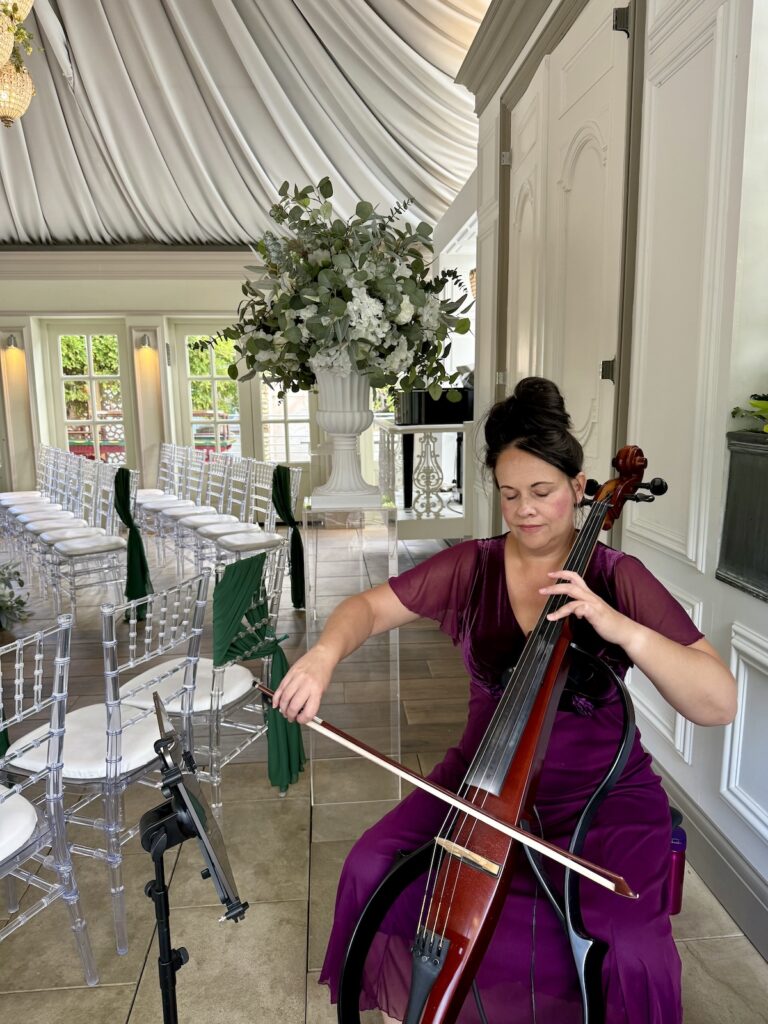 Anne Marie Cellist for JAM Duo at Friern Manor in Essex