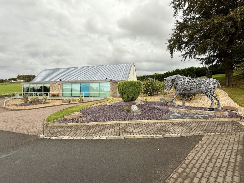 the horse William outside at The Vu in Bathgate Scotland