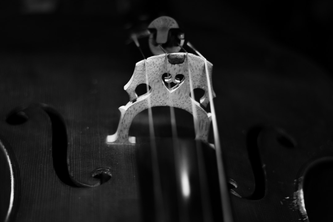 Close-up of cello strings and bridge for an article about live funeral music